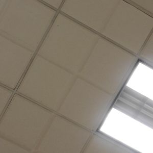 Meet your Posher, Jamila